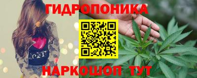 каннабис Новодвинск