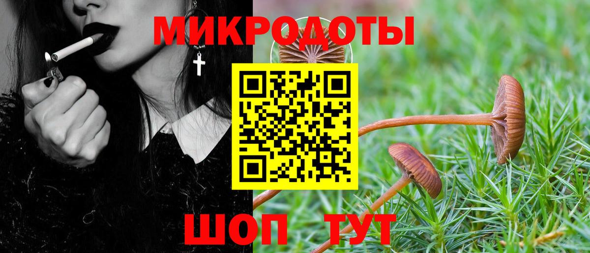 Псилоцибиновые грибы Cubensis Сергиев Посад